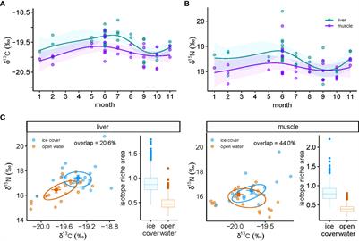 Multi-dietary tracer approach reveals little overlap in foraging ecology between seasonally sympatric ringed and harp seals in the high Arctic